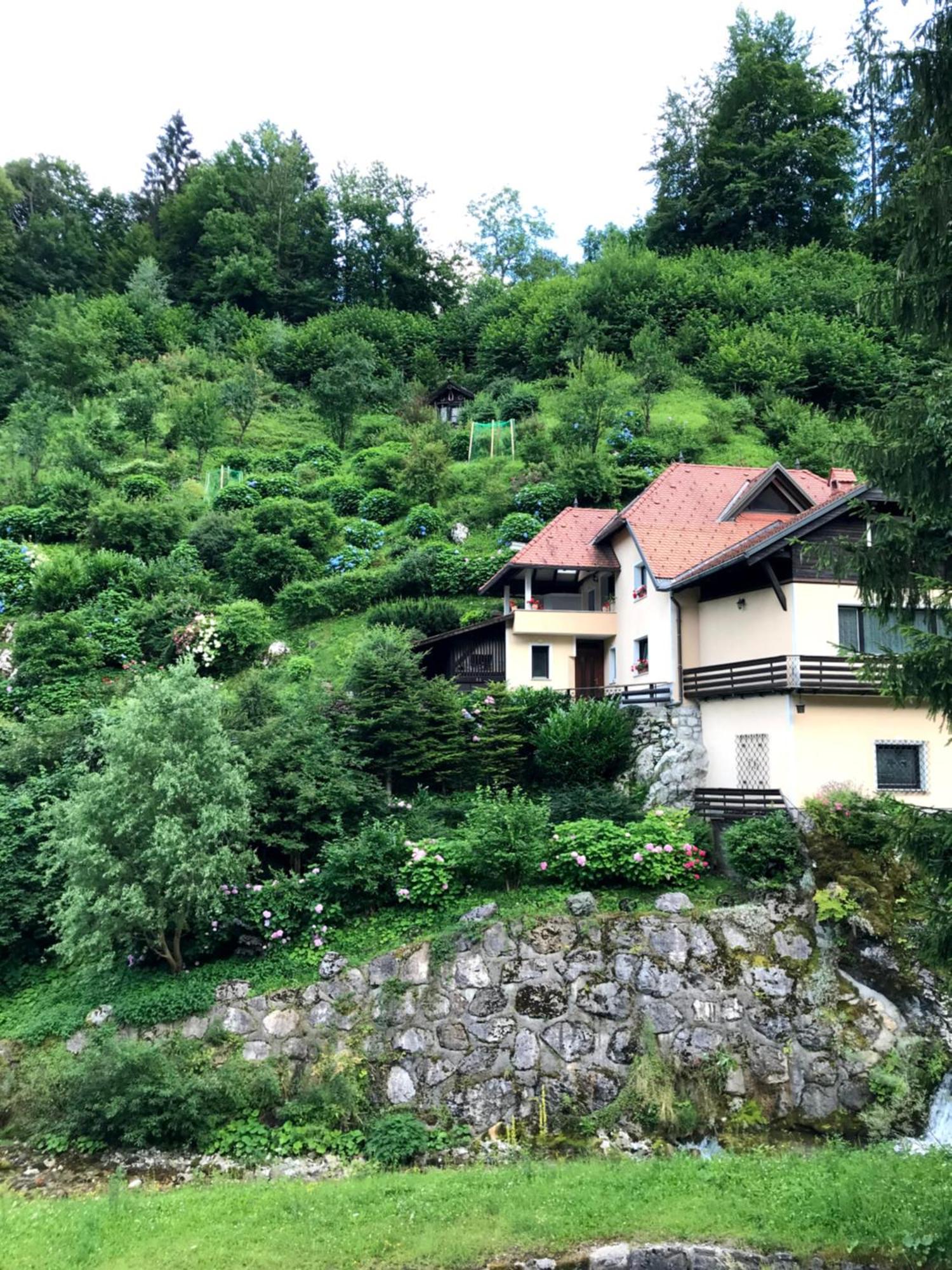 Luxury Holiday Home Near Lake Bled & The Alps Kropa Dış mekan fotoğraf